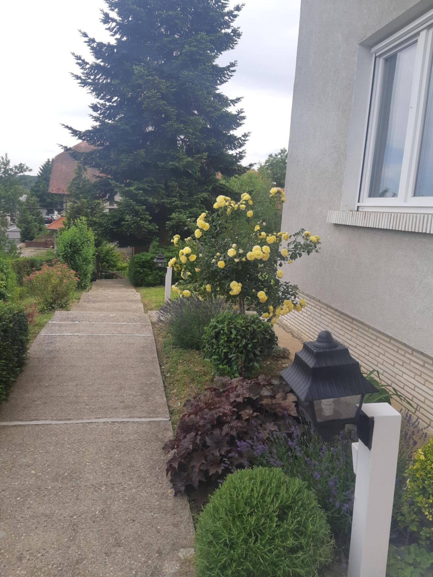Kvint Vendeghaz Hotel Zalaegerszeg Kültér fotó